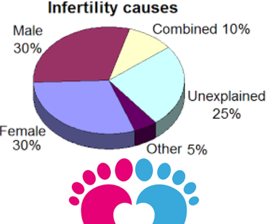 Treatment of Infertility / Sterility (বন্ধ্যাত্ব)